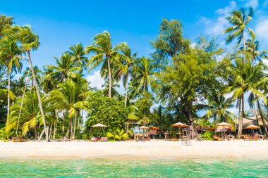 Güzel tropikal plaj ve Hindistan cevizi hurma ağacı Cennet Adası - tatil tatil kavramı ile