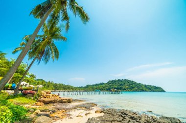 Güzel tropikal plaj ve deniz paradise Island Seyahat ve tatil için Hindistan cevizi hurma ağacı