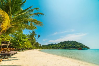 Güzel tropikal plaj ve deniz paradise Island Seyahat ve tatil için Hindistan cevizi hurma ağacı