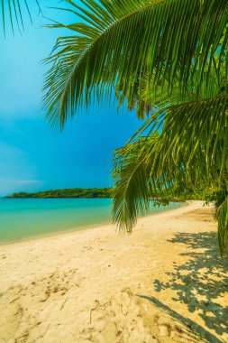Güzel tropikal plaj ve deniz paradise Island Seyahat ve tatil için Hindistan cevizi hurma ağacı
