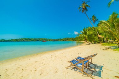 Güzel tropikal plaj ve deniz paradise Island Seyahat ve tatil için Hindistan cevizi hurma ağacı