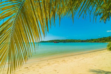 Güzel tropikal plaj ve deniz paradise Island Seyahat ve tatil için Hindistan cevizi hurma ağacı