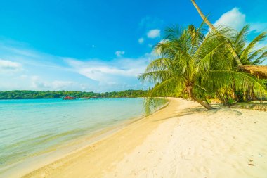 Güzel tropikal plaj ve deniz paradise Island Seyahat ve tatil için Hindistan cevizi hurma ağacı