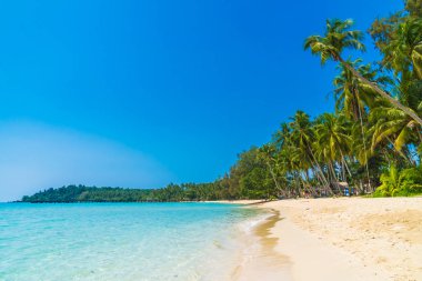 Güzel tropikal plaj ve Hindistan cevizi hurma ağacı Cennet Adası - tatil tatil kavramı ile