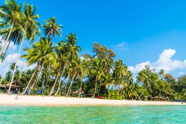 Güzel tropikal plaj ve Hindistan cevizi hurma ağacı Cennet Adası - tatil tatil kavramı ile