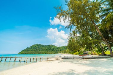 Güzel tropikal plaj ve deniz paradise Island Seyahat ve tatil için Hindistan cevizi hurma ağacı