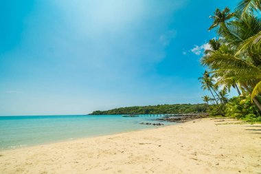 Güzel tropikal plaj ve deniz paradise Island Seyahat ve tatil için Hindistan cevizi hurma ağacı