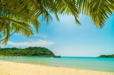 Güzel tropikal plaj ve deniz paradise Island Seyahat ve tatil için Hindistan cevizi hurma ağacı