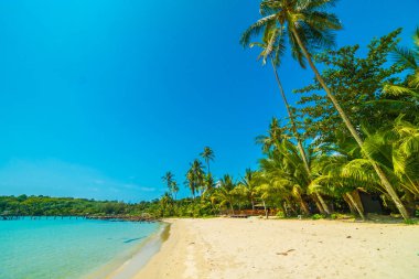 Güzel tropikal plaj ve deniz paradise Island Seyahat ve tatil için Hindistan cevizi hurma ağacı