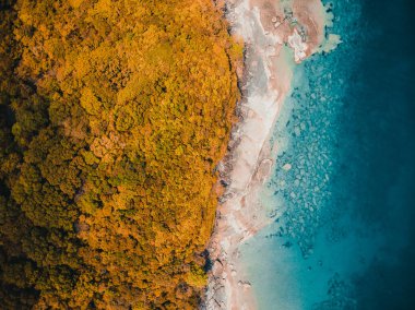 Güzel doğa tropikal plaj ve deniz kayık tekne ve Hindistan cevizi hurma ağacı Cennet Adası için seyahat etmek tatil