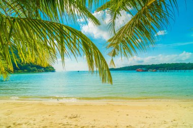 Güzel tropikal plaj ve deniz paradise Island Seyahat ve tatil için Hindistan cevizi hurma ağacı