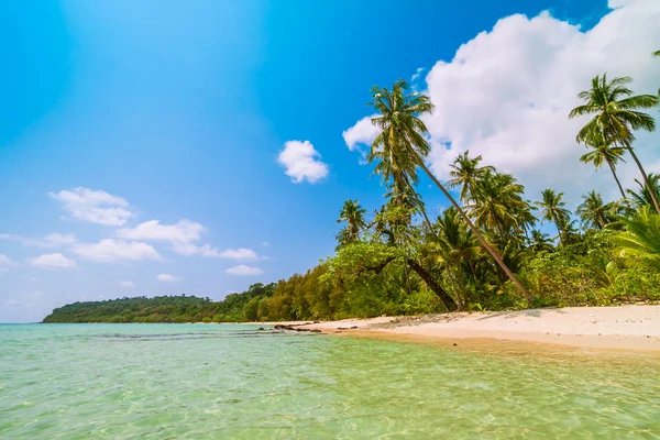 Hermosa Isla Paradisíaca Con Mar Paisaje Playa Alrededor Palmera Coco — Foto de Stock