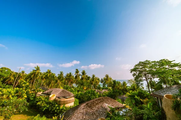 Hermosa Isla Paradisíaca Con Mar Paisaje Playa Alrededor Palmera Coco —  Fotos de Stock