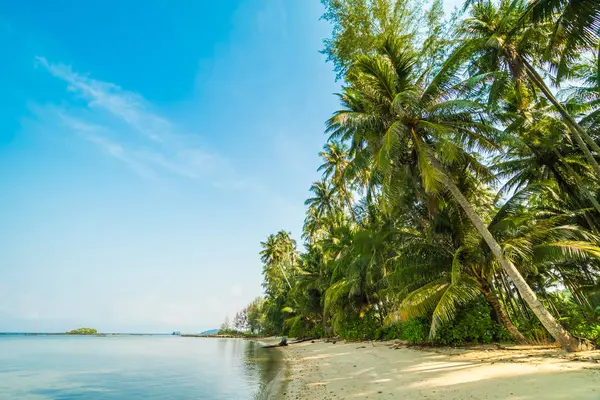 Beautiful Paradise Island Beach Sea Coconut Palm Tree Sunset Time — Stock Photo, Image