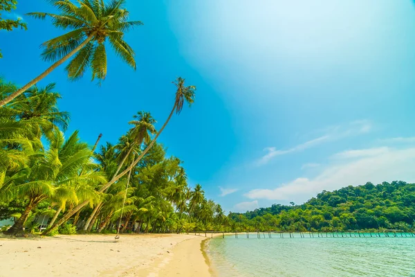 Belle Plage Tropicale Mer Avec Cocotier Dans Île Paradisiaque Pour — Photo