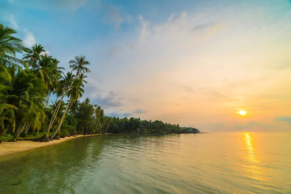 Vackra Paradisön Med Stranden Och Havet Runt Coconut Palm Tree — Stockfoto