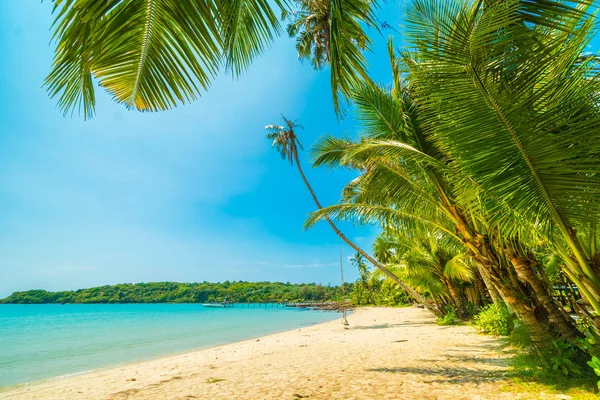 Beautiful tropical beach and sea with coconut palm tree in paradise island for travel and vacation