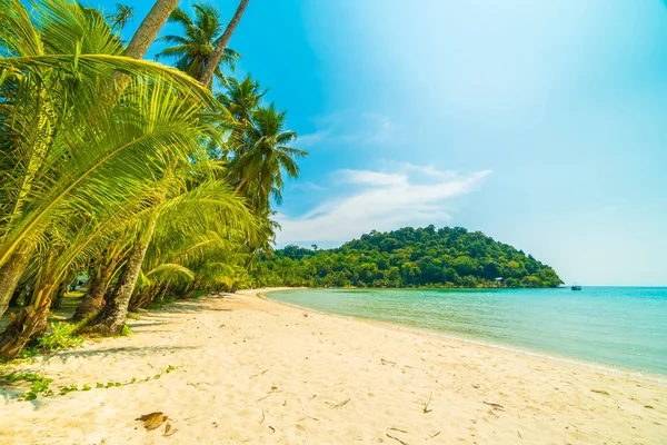 Hermosa Playa Tropical Mar Con Palmera Coco Isla Paradisíaca Para — Foto de Stock