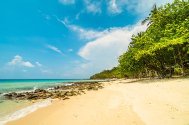 Plaj ve deniz Hindistan cevizi hurma ağacı günbatımı zaman - tatil tatil kavramı etrafında güzel Cennet Adası