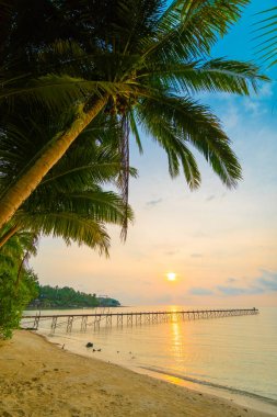 Plaj ve deniz Hindistan cevizi hurma ağacı günbatımı zaman - tatil tatil ve seyahat kavramı etrafında güzel Cennet Adası