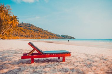 Güzel doğa tropikal plaj ve sandalye ve Hindistan cevizi hurma ağacı için cennet adasında denize sıfır tatil seyahat