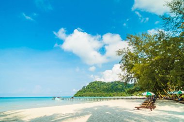 Güzel tropikal plaj ve deniz paradise Island Seyahat ve tatil için Hindistan cevizi hurma ağacı