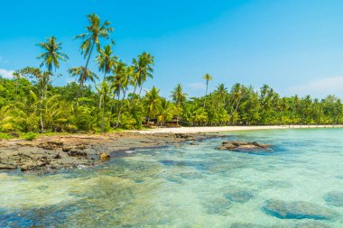 Güzel tropikal plaj ve deniz paradise Island Seyahat ve tatil için Hindistan cevizi hurma ağacı