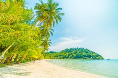 Güzel tropikal plaj ve deniz paradise Island Seyahat ve tatil için Hindistan cevizi hurma ağacı