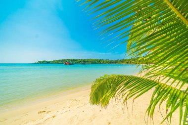 Güzel tropikal plaj ve deniz paradise Island Seyahat ve tatil için Hindistan cevizi hurma ağacı