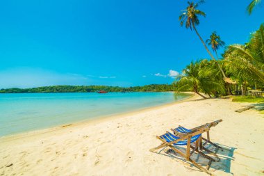 Güzel tropikal plaj ve deniz paradise Island Seyahat ve tatil için Hindistan cevizi hurma ağacı