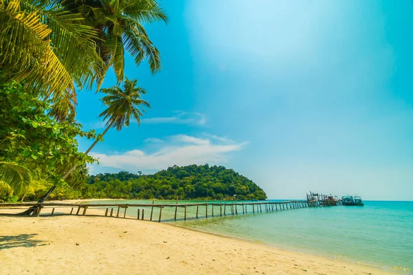 Beautiful Tropical Beach Sea Coconut Palm Tree Paradise Island Travel — Stock Photo, Image