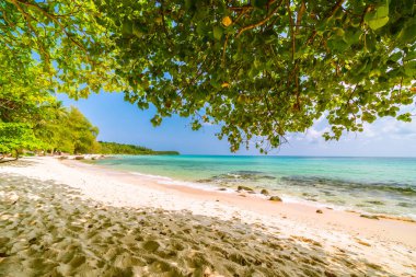 Güzel cennet tropikal plaj ve deniz - tatil tatil kavramı