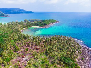 Mavi gökyüzünde Cennet Adası üzerinde güzel bir plaj ve deniz Hindistan cevizi hurma ağacı ile havadan görünümü