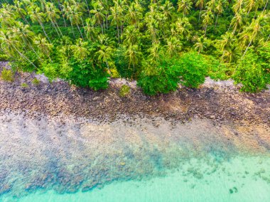 Plaj ve deniz paradise Island tatil için Hindistan cevizi hurma ağacı ile güzel havadan görünümü