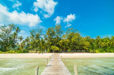 Ahşap iskele veya köprü tropikal plaj ve deniz paradise Island Seyahat ve tatil için