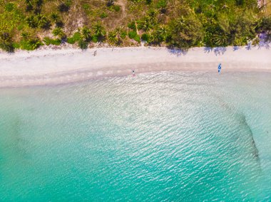 Plaj ve deniz paradise Island tatil için Hindistan cevizi hurma ağacı ile güzel havadan görünümü