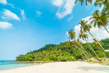 Güzel tropikal plaj ve deniz paradise Island Seyahat ve tatil için Hindistan cevizi hurma ağacı