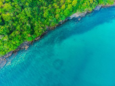 Plaj ve deniz paradise Island tatil için Hindistan cevizi hurma ağacı ile güzel havadan görünümü