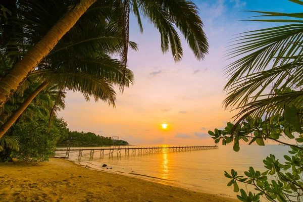 Hermosa Isla Paradisíaca Con Playa Mar Alrededor Palmera Coco Atardecer — Foto de Stock