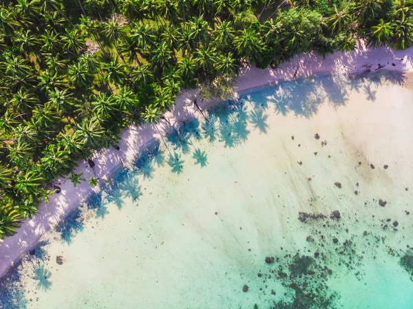 Vue Aérienne Belle Plage Mer Avec Cocotier Sur Ciel Bleu — Photo