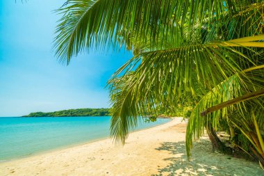 Güzel tropikal plaj ve deniz paradise Island Seyahat ve tatil için Hindistan cevizi hurma ağacı