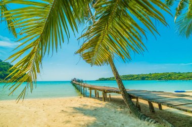 Güzel tropikal plaj ve deniz paradise Island Seyahat ve tatil için Hindistan cevizi hurma ağacı