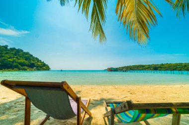 Sandalyenin üstünde güzel tropikal plaj ve deniz ile Hindistan cevizi hurma ağacı Cennet Adası