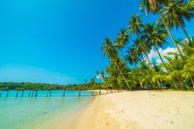 Güzel tropikal plaj ve deniz paradise Island Seyahat ve tatil için Hindistan cevizi hurma ağacı