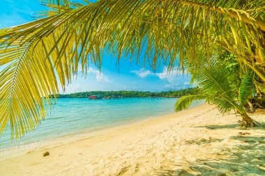 Güzel tropikal plaj ve deniz paradise Island Seyahat ve tatil için Hindistan cevizi hurma ağacı