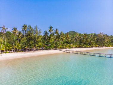 Güzel doğa tropikal plaj ve deniz kayık tekne ve Hindistan cevizi hurma ağacı Cennet Adası için seyahat etmek tatil