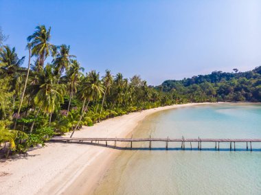 Güzel doğa tropikal plaj ve deniz kayık tekne ve Hindistan cevizi hurma ağacı Cennet Adası için seyahat etmek tatil