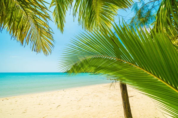 Hermosa Playa Tropical Mar Con Palmera Coco Isla Paradisíaca Para —  Fotos de Stock