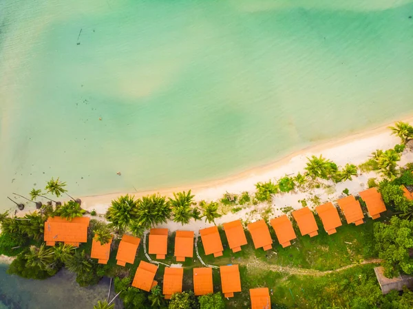 Plaj Deniz Paradise Island Tatil Için Hindistan Cevizi Hurma Ağacı — Stok fotoğraf