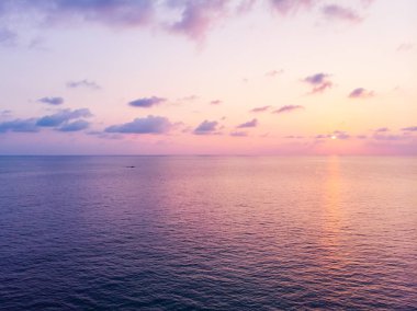 Güzel bir plaj ve deniz ile Hindistan cevizi hurma ağacı havadan görünümü